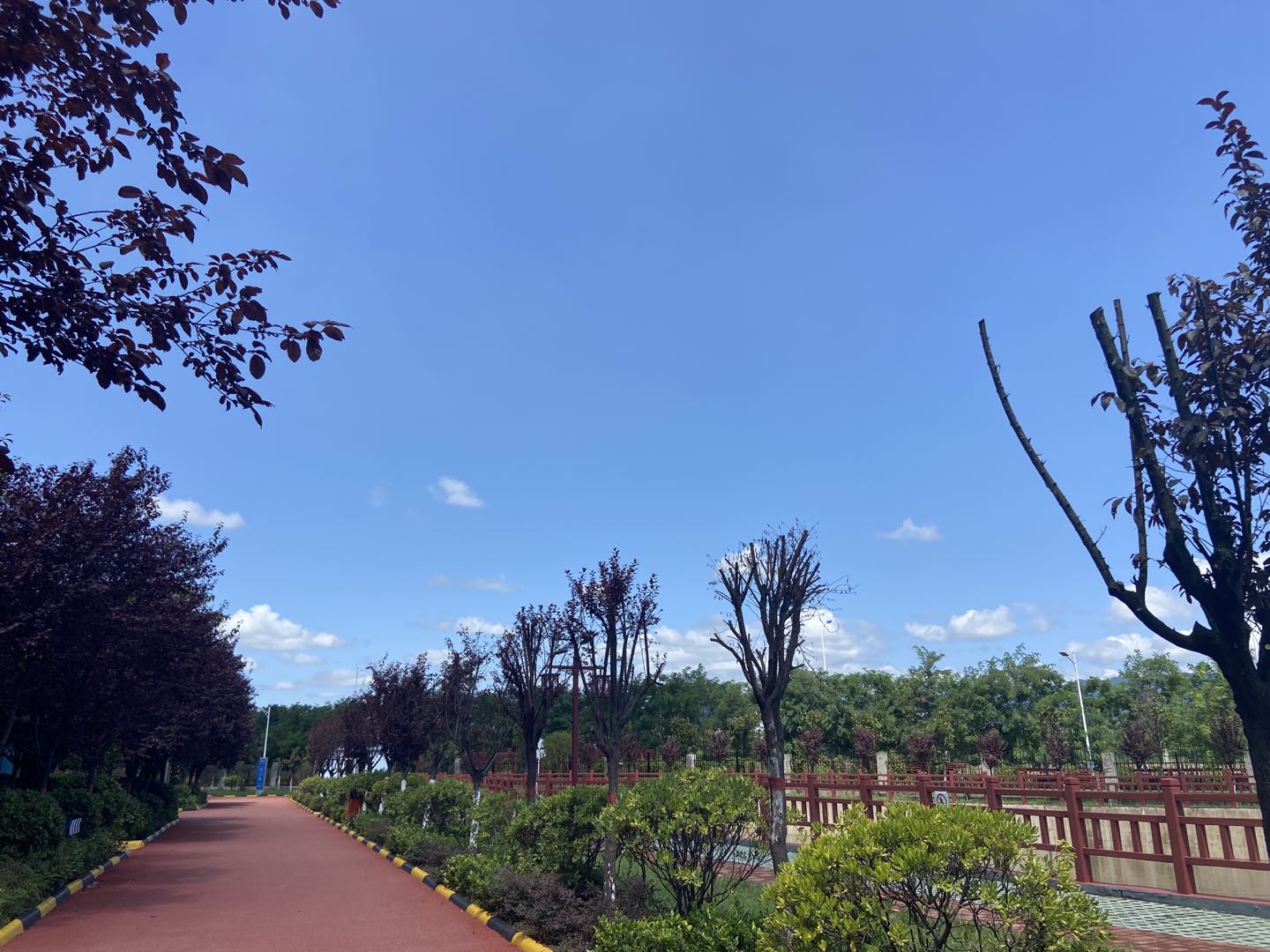 又到風(fēng)起葉落時(shí)！漢鋼那么美，我想帶你去看看