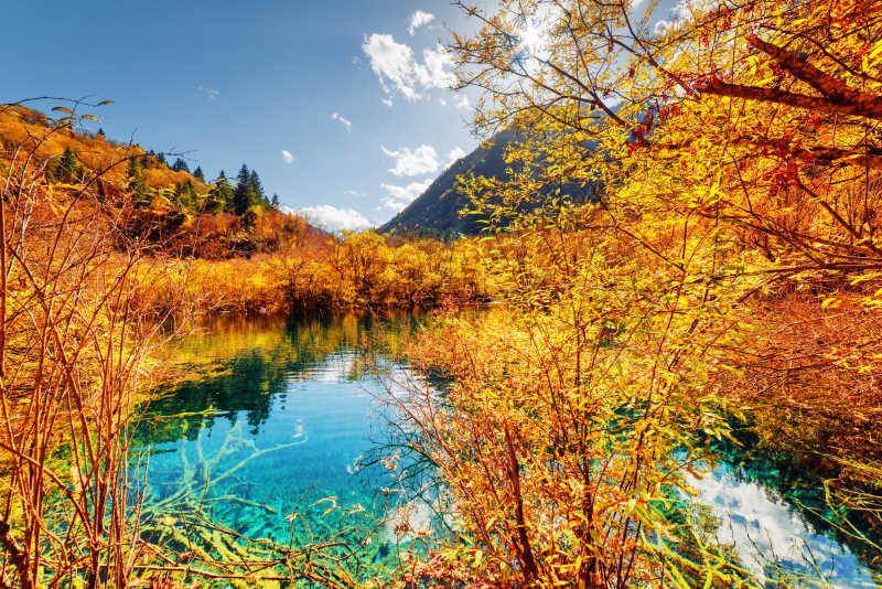 共秋色，紅塵馳騁