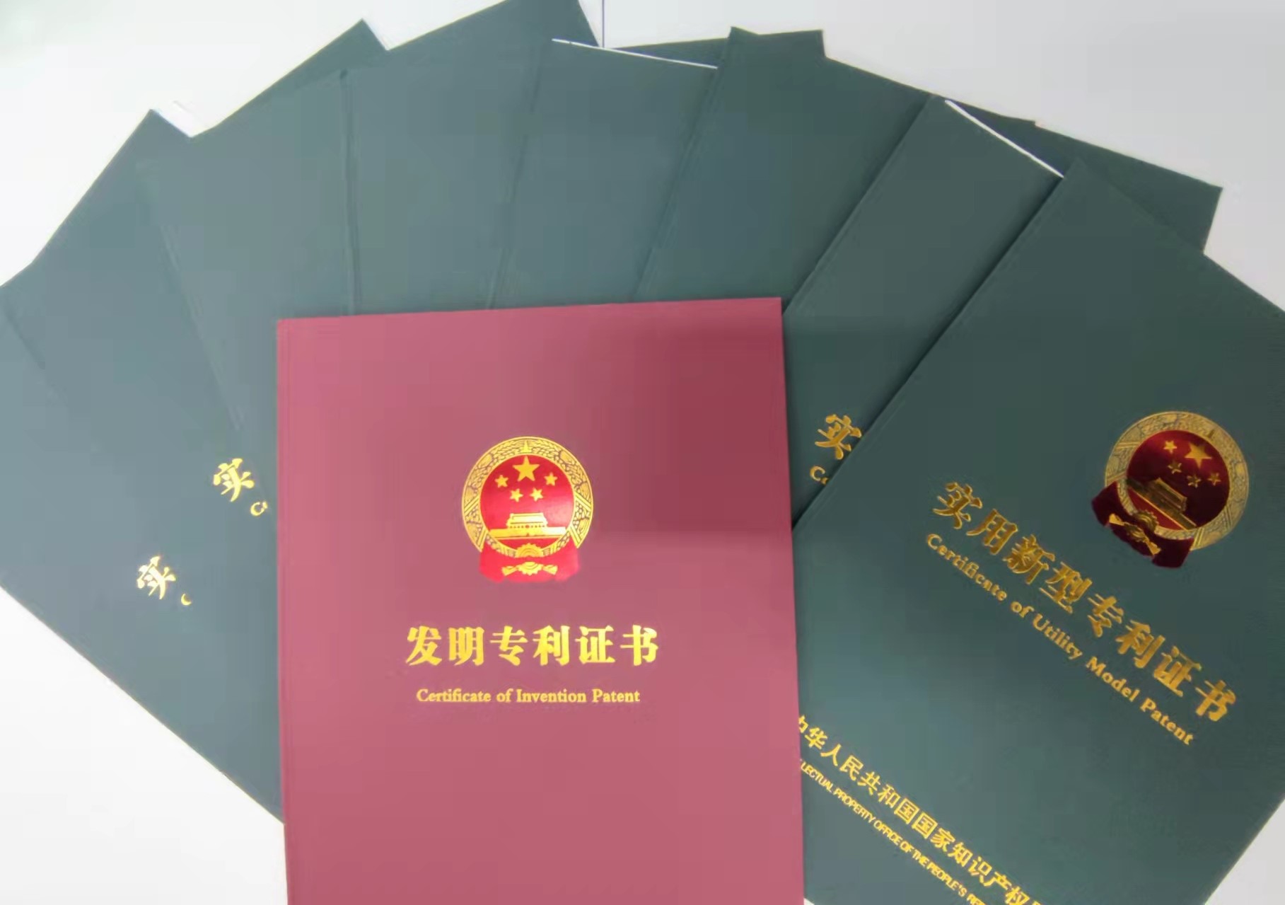 贊！公司年度專利授權量創歷史新高