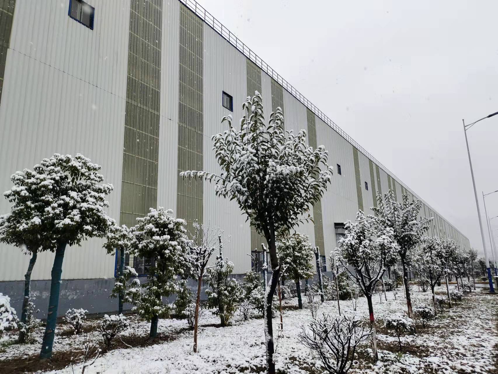 春雪飛花，爛漫了整個春天