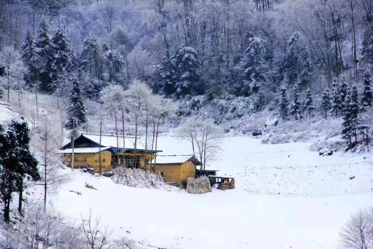 立春迎雪，歲時飛花