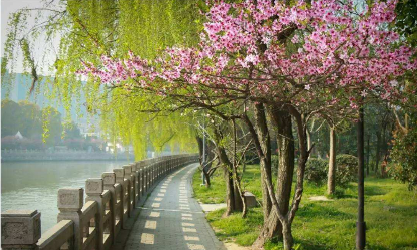 春朝花開，年月從此始