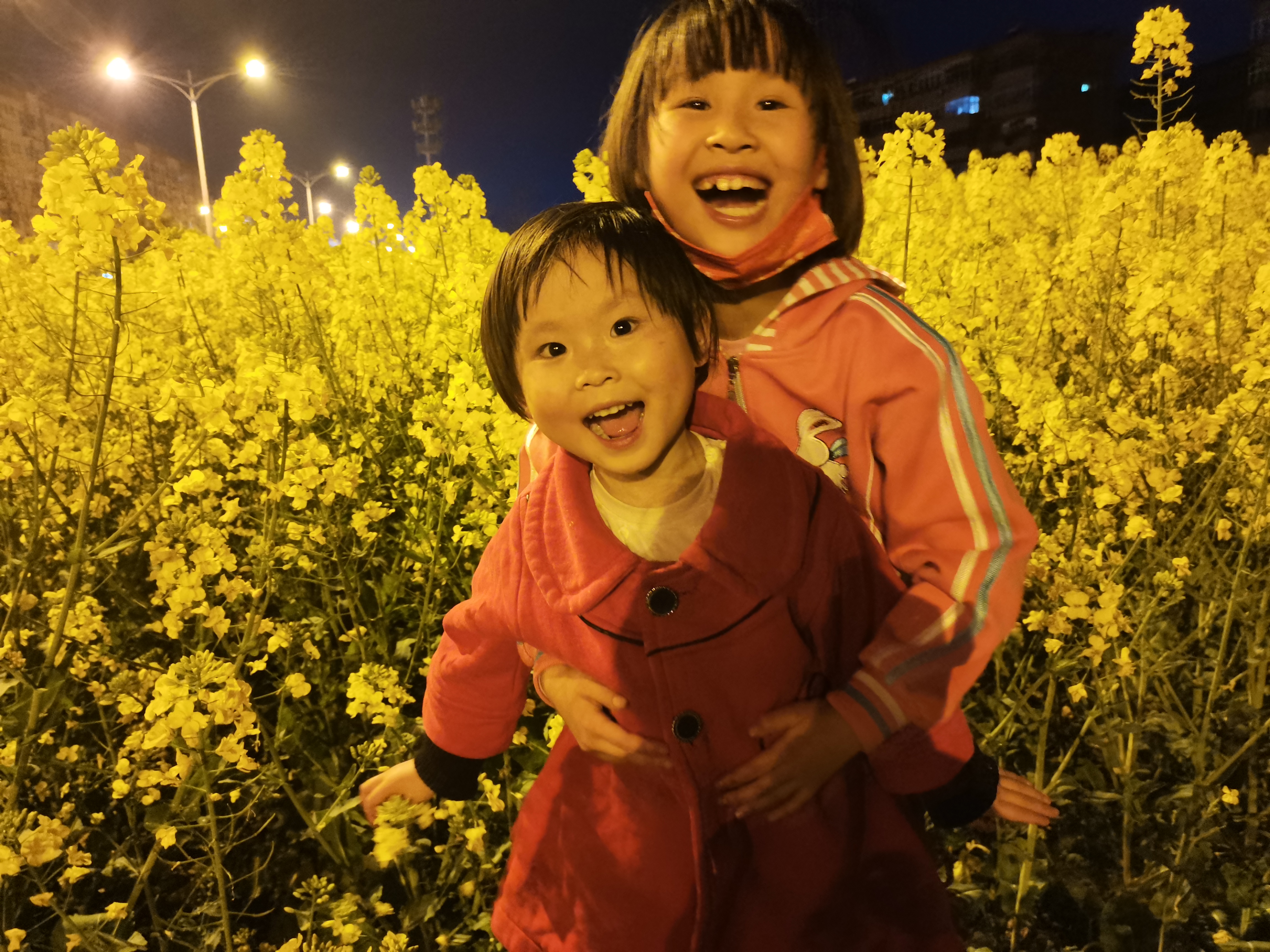 待到下次花黃時，許你一片花如海         ---寫給女兒們的一封信