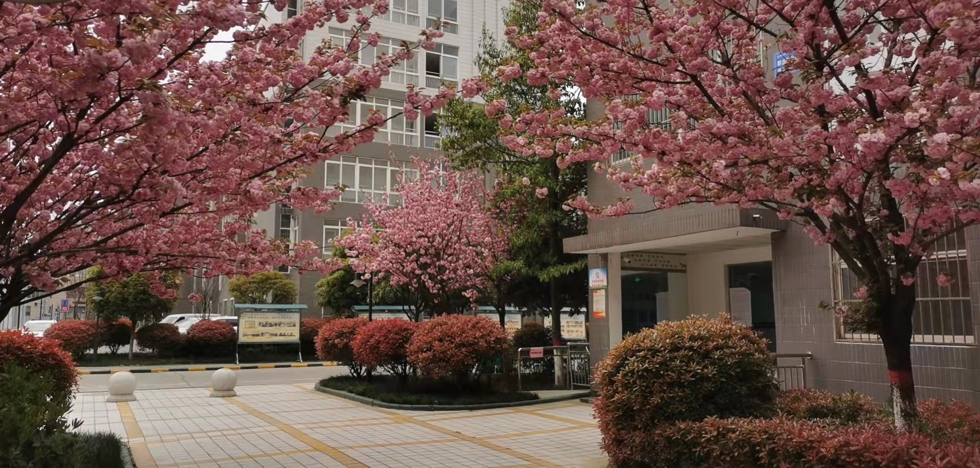 四個堅持讓職工居住環境提檔升級