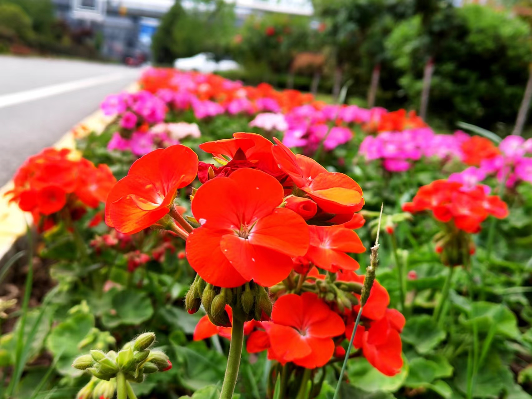 ̼tI䓳֮