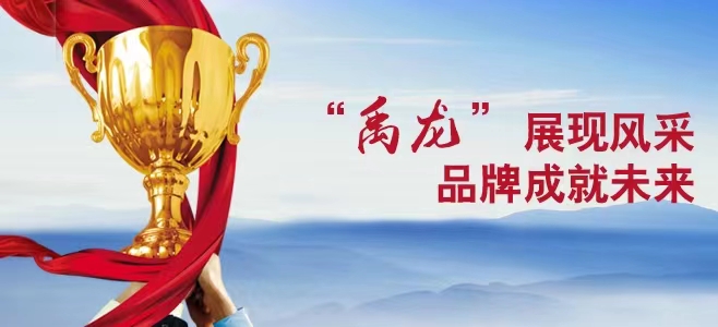 讓陜鋼“禹龍”品牌在新時(shí)代綻放璀璨光芒