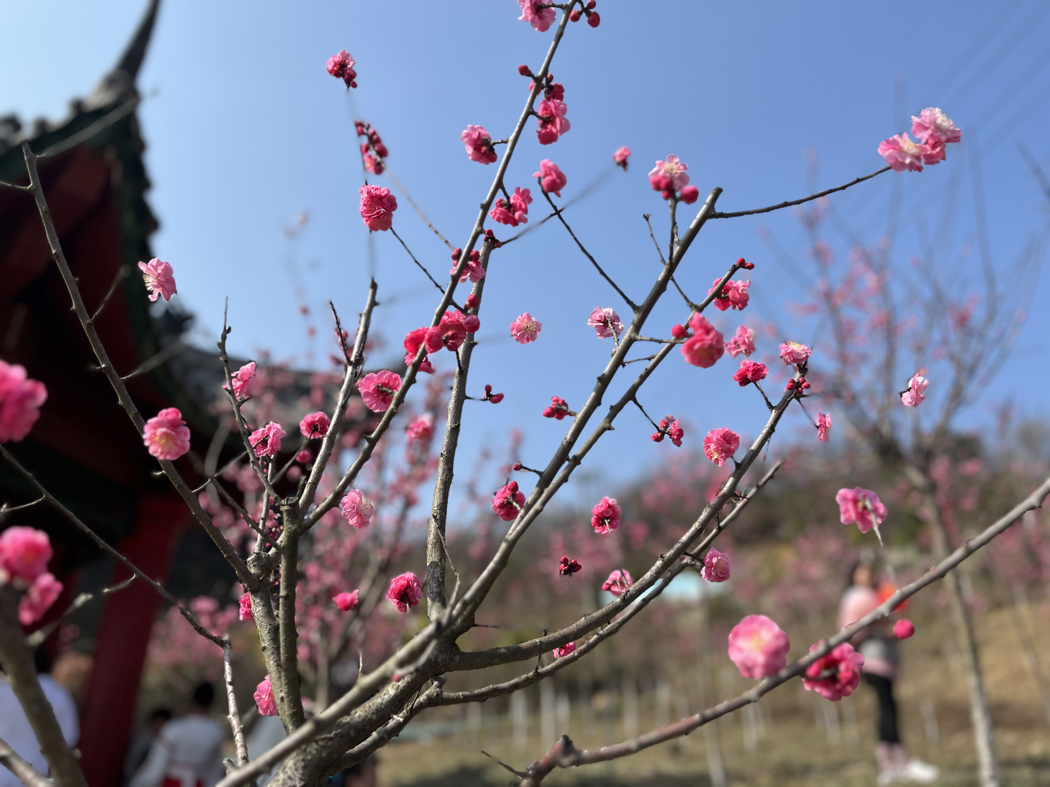 花開錦繡春草綠 巾幗牽手伴“童”行        —設備管理中心2023年“慶三八”戶外踏青活動