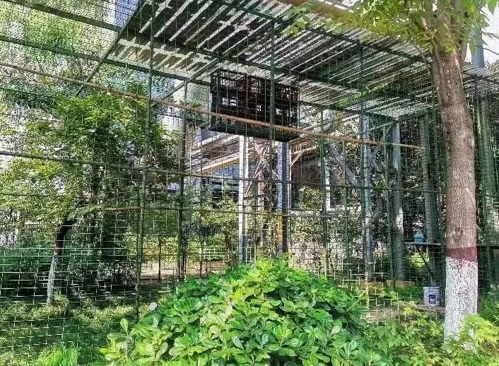 以質求效 走穩高質量發展之路
