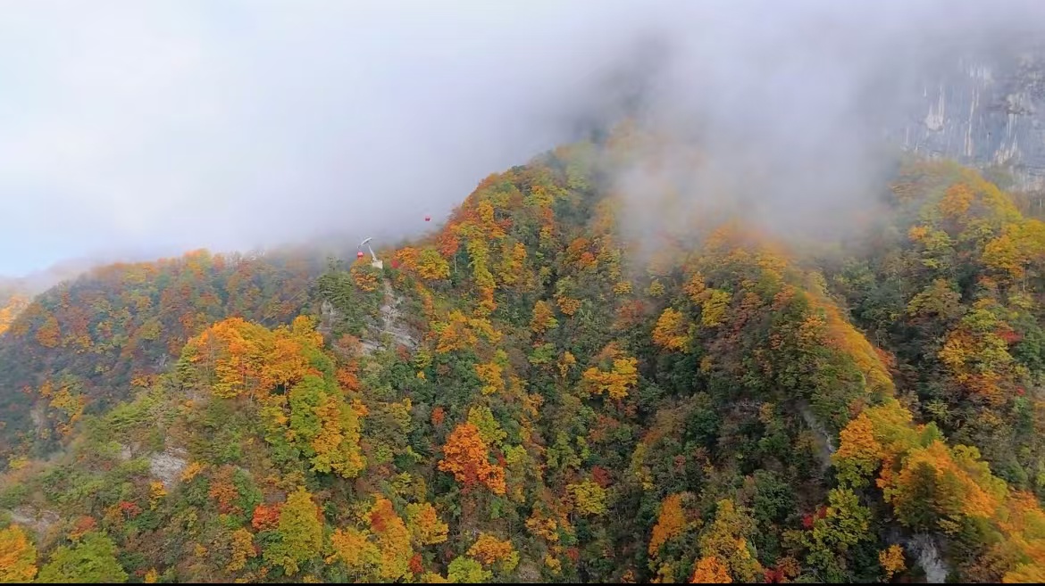 龍頭山，秋如醉