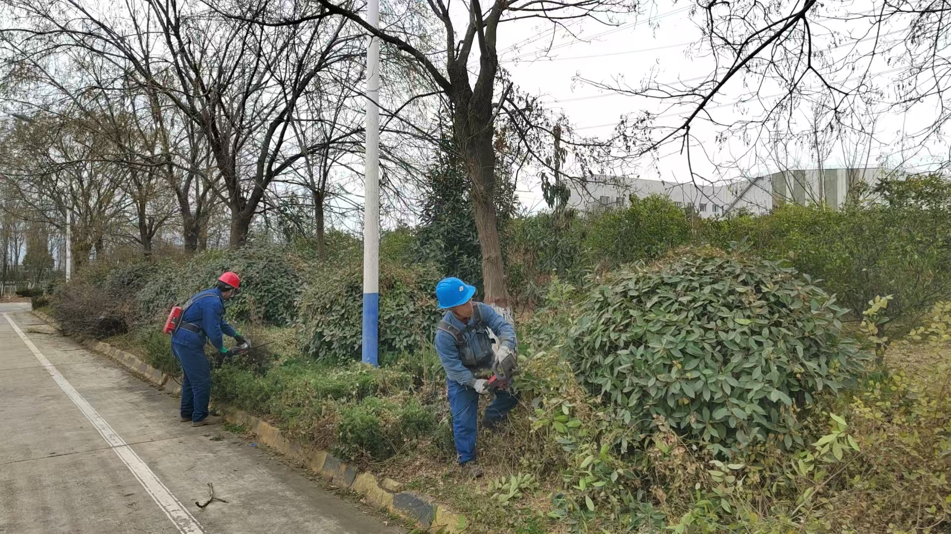 寒冬護綠正當時 煥發鋼城新面貌