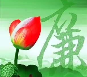 看鋼里廉潔花