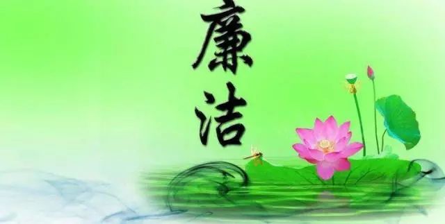 看鋼里廉潔花