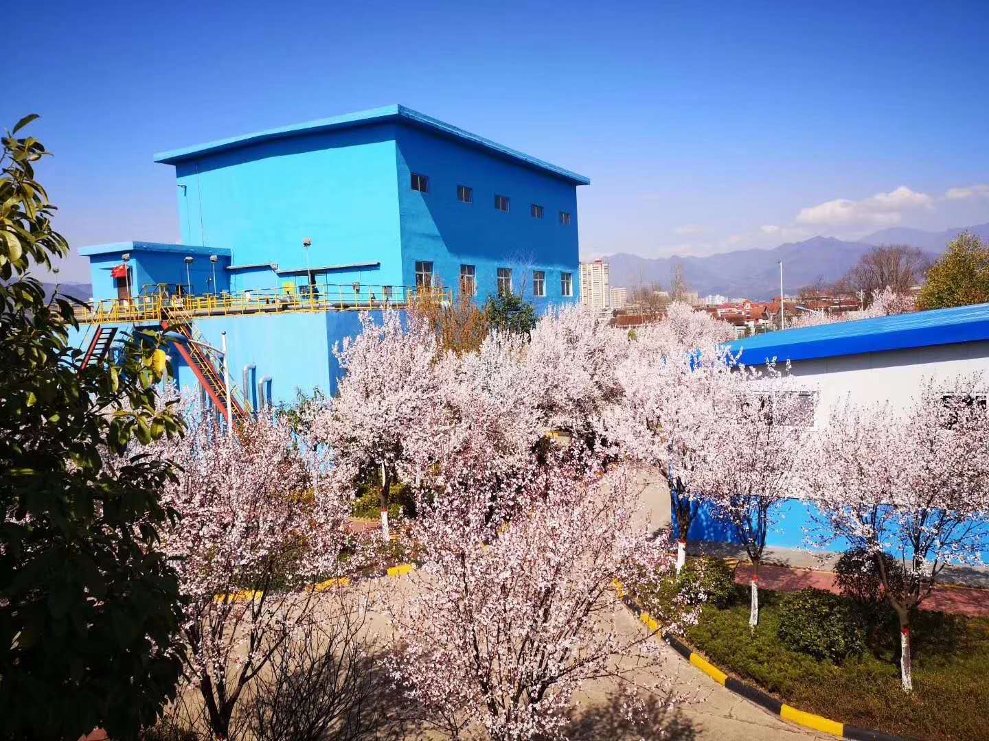 【鋼城文苑】漢鋼的春天，一期一會