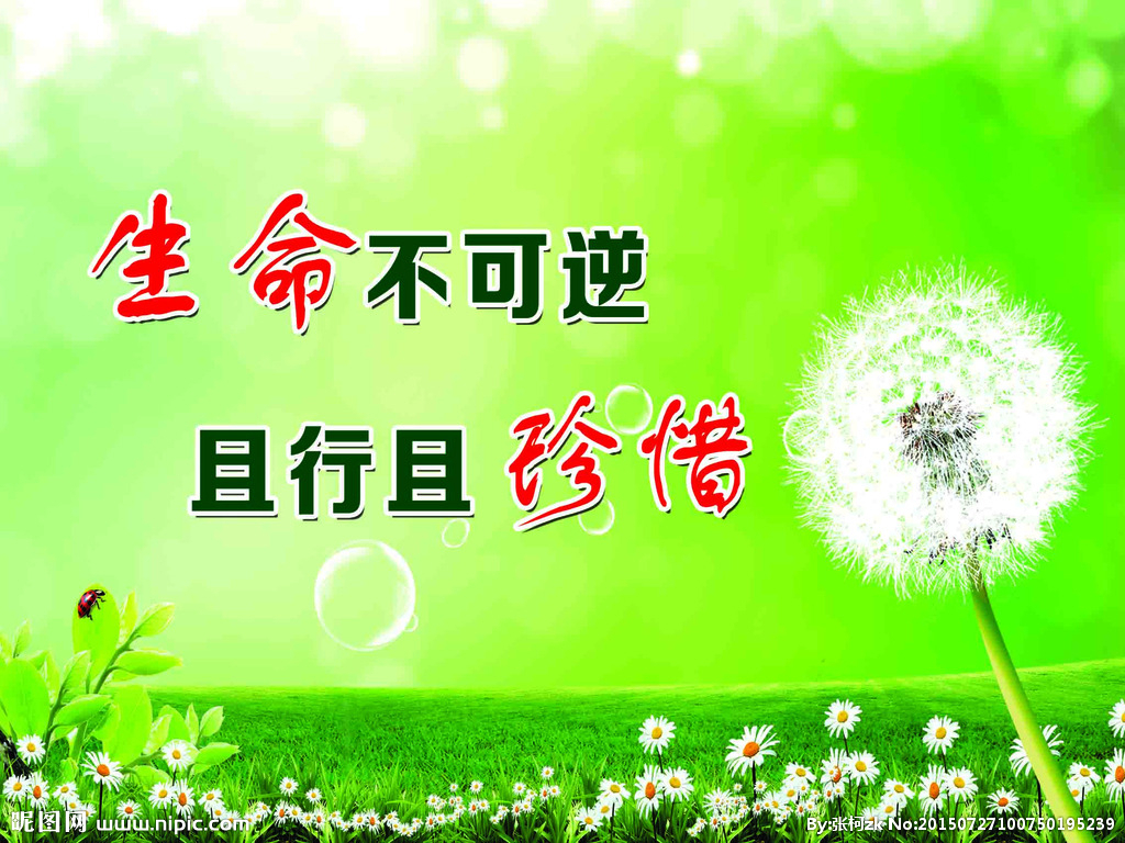 【鋼城文苑】樹牢紅線意識 安全常伴左右