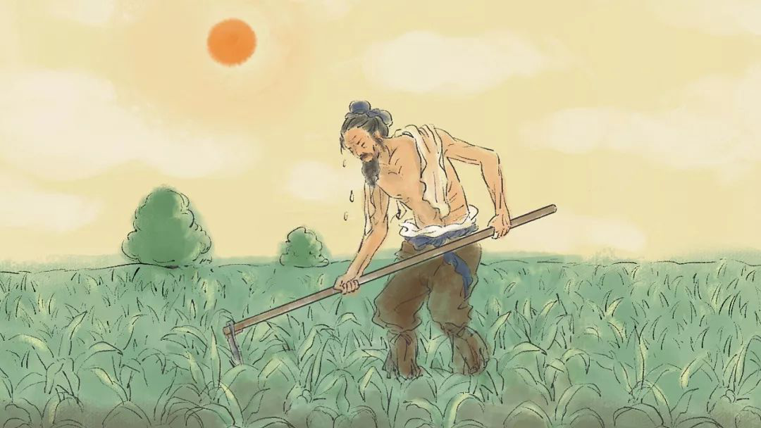 【散文】再讀《憫農》